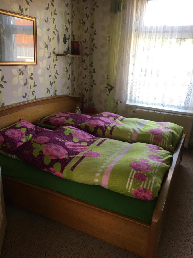 Ferienwohnung Bunte Stadt An Der Elde Grabow  エクステリア 写真