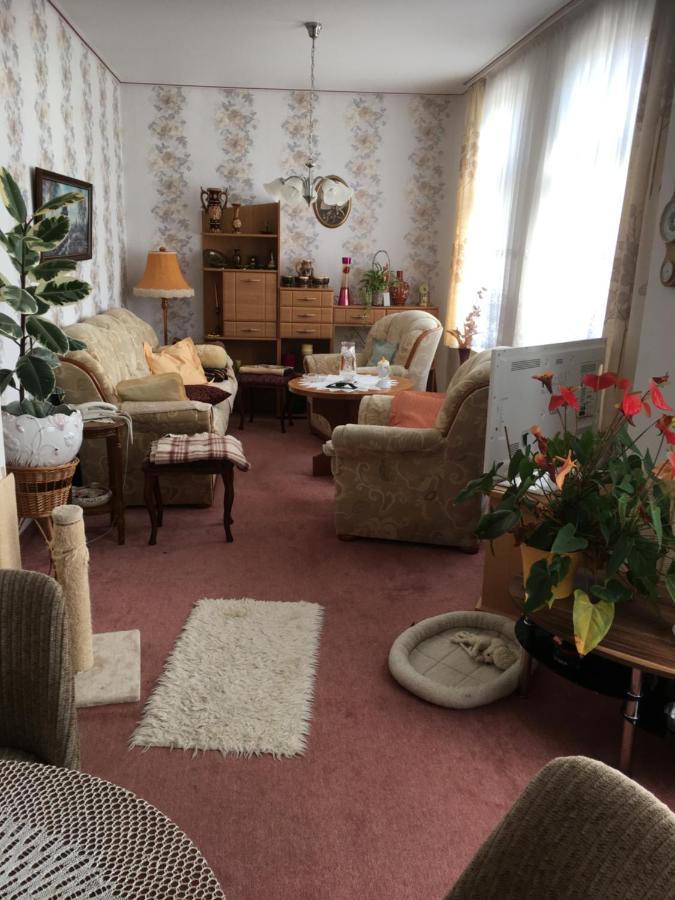Ferienwohnung Bunte Stadt An Der Elde Grabow  エクステリア 写真